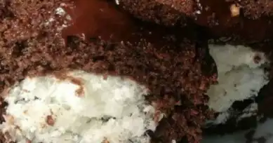 Nefis Hindistan Cevizi Dolgulu Kek Tarifi
