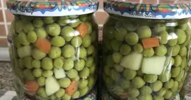 Ev Yapımı Pratik Bezelye Konservesi Tarifi