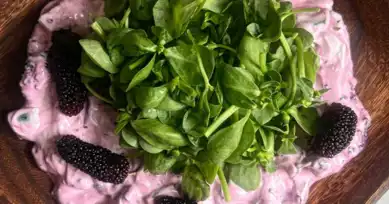Lezzet Patlaması: Yoğurtlu Karadutlu Semizotu Salatası