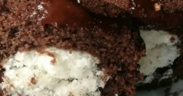 Nefis Hindistan Cevizi Dolgulu Kek Tarifi